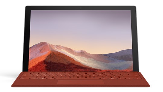昭苏清洁和维护 Surface
